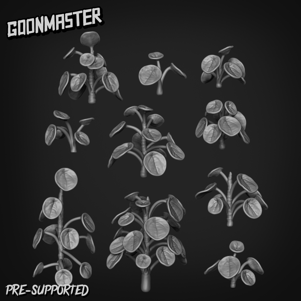 Basing Bits 196 - Pilea Peperomioides